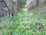 Terreno, Santo António Dos Olivais, Coimbra | BPI...