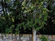 Terreno, Santo Onofre, Viamão, RS