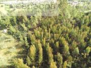 Terreno, Sarnadas de Rodão, Vila Velha de Rodão | BPI...