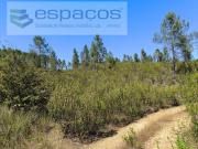 Terreno, Sarzedas, Castelo Branco | BPI Expresso Imobiliário
