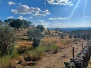 Terreno, Sé e São Lourenço, Portalegre | BPI Expresso...