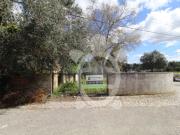 Terreno, Sebal e Belide, Condeixa a Nova | BPI Expresso...