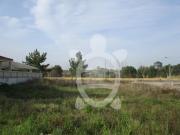 Terreno, Sebal e Belide, Condeixa a Nova | BPI Expresso...