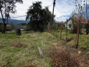 Terreno sector Poncho Verde El Colibrí 5.915 m2