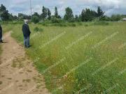 Terreno sector urbano Teno 3 hectáreas