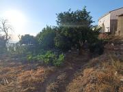 Terreno, Segura de Toro