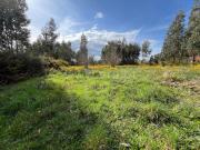 Terreno / Seia, Tourais e Lajes