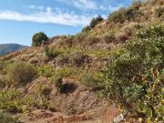 Terreno, Seixo de Ansiães