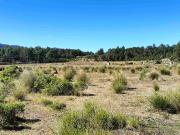 Terreno semi plano en venta a 15 minutos de Omitlan