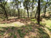 TERRENO ESPIRITU SANTO SEMIPLANO 1000 m2 y 500 m2 JILOTZINGO