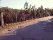 Terreno, Sequeade e Bastuço São João e Santo Estêvão,...