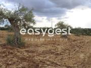 Terreno, Serpa Salvador e Santa Maria, Serpa | BPI...