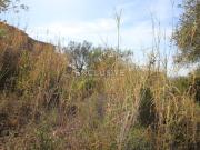 Terreno, Serpa Salvador e Santa Maria, Serpa | BPI...