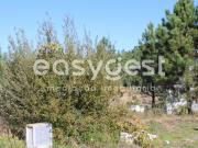 Terreno, Serra e Junceira, Tomar | BPI Expresso Imobiliário