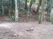 Terreno, Sertão da Quina, Ubatuba R$ 250 mil, Cod: 2557