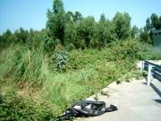 Terreno, Serzedo e Perosinho, Vila Nova de Gaia | BPI... Terreno, Serzedo e Perosinho, Vila Nova de Gaia | BPI...