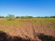 Terreno, Ses Salines Mallorca