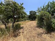 Terreno, Sesimbra Castelo, Sesimbra | BPI Expresso...