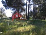 Terreno, Sesimbra Castelo, Sesimbra | BPI Expresso...