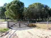 Terreno, Setúbal, Alcácer do Sal