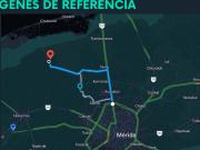 Terreno sierra papacal