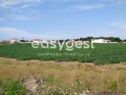 Terreno, Silveira, Torres Vedras | BPI Expresso Imobiliário