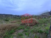 Terreno, Silveiros e Rio Covo Santa Eulália, Barcelos |...
