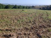 Terreno situado em Bárrio Alcobaça está em malha urbana