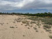 TERRENO SOBRE BENAVIDEZ. EL MOGOTE