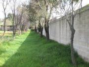 TERRENO SOBRE CARR VIEJO MEX TOLUCA CON ESCRITURAS AMEYALCO