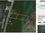 Terreno sobre Carretera Federal entre Cancún y Puerto...