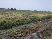 TERRENO SOBRE CIRCUITO EXTERIOR MEXIQUENSE