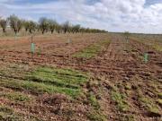 Terreno, Socuéllamos