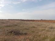 Terreno, Socuéllamos