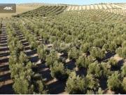 Terreno / Solar en venta Carretera zafra, Bienvenida,...