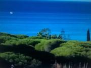 Terreno / Solar de 1710 m2 Marbella, Andalucía