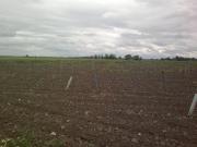 Terreno / Solar de 20 m2 Tomelloso, España