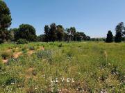 Terreno / Solar de 220 m2 Bétera, España