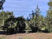 Terreno / Solar de 256 m2 Ibiza, Baleares