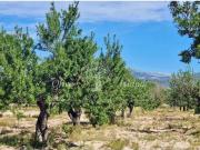 Terreno / Solar de 292 m2 en venta Santa Maria del Camí,...