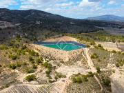 Terreno / Solar de 3694 m2 en venta Pinoso, España
