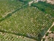 Terreno / Solar de 45000 m2 en venta Monterrey, Estado...