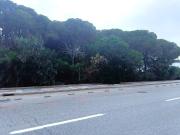 Terreno / Solar de 480 m2 en venta Chiclana de la...