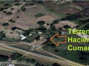 Terreno / Solar de 5000000 m2 en venta Valencia, Estado...