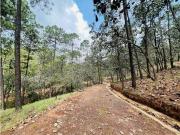 Terreno / Solar de 5000 m2 Valle de Bravo, México