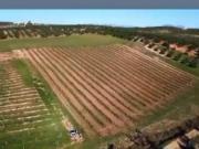 Terreno / Solar de 575 m2 Mollina, Andalucía