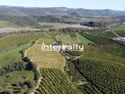 Terreno / Solar de 667 m2 en venta Casares, España