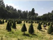 Terreno / Solar en venta Amecameca, México