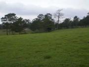 Terreno / Solar en venta Biar, España