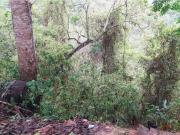 Terreno / Solar en venta Caracas, Distrito Capital